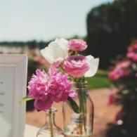 Pink and white flowers in glass bottles on a table outdoors with a blurred background