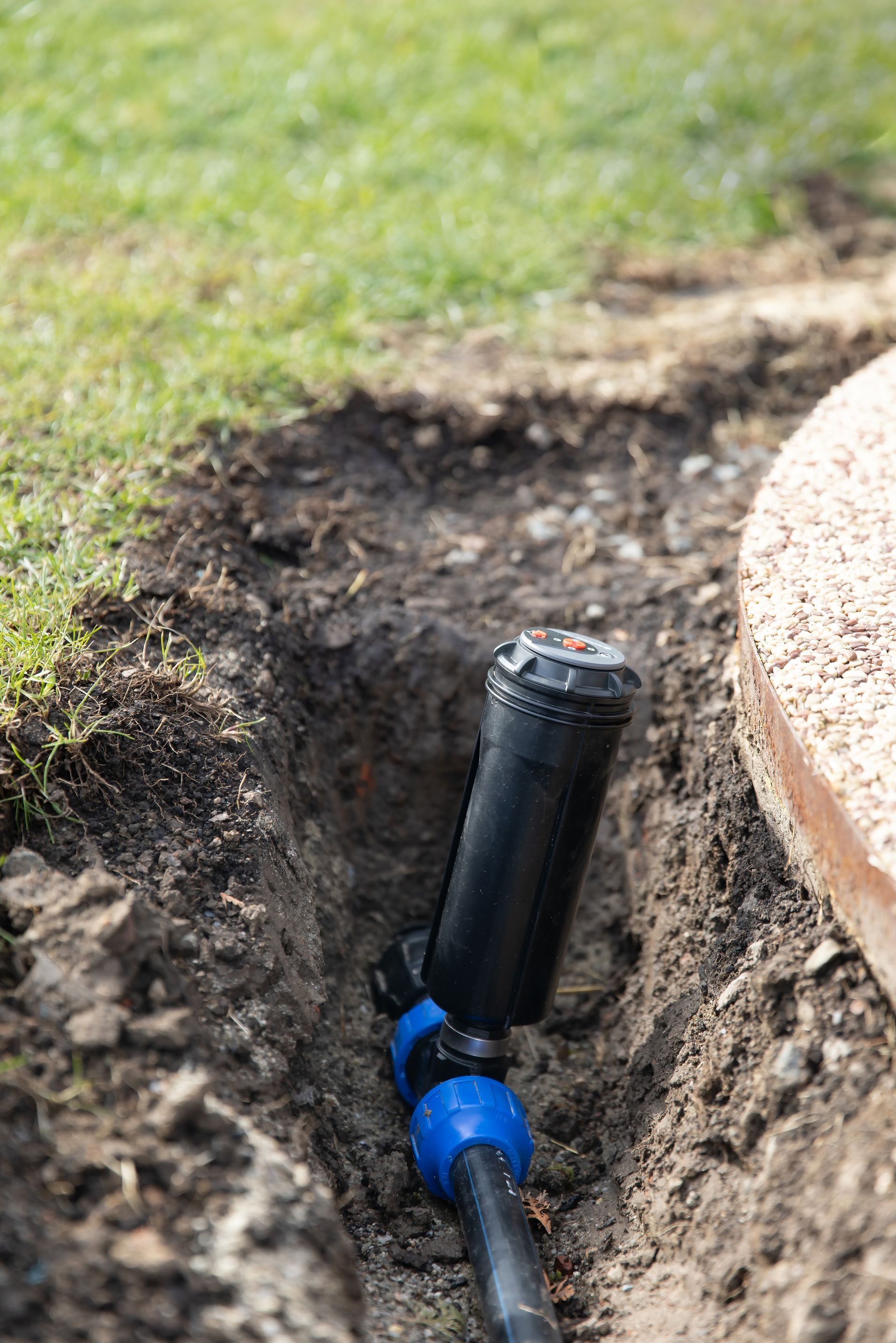 Sprinkler head in a trench, connected to a pipe, near a lawn and walkway.