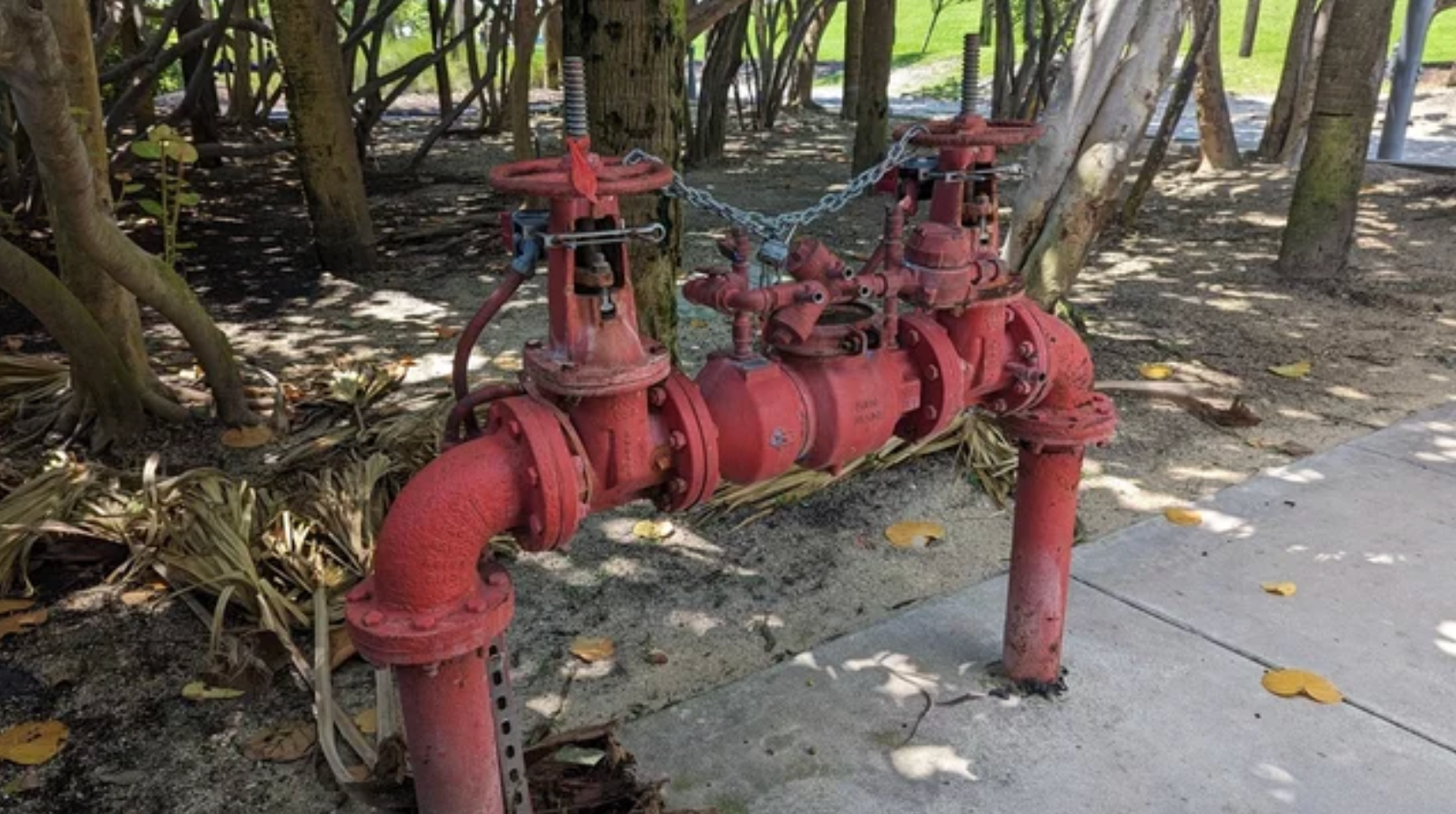 Grassy strip between sidewalk and street. Grassy strip between sidewalk and street.