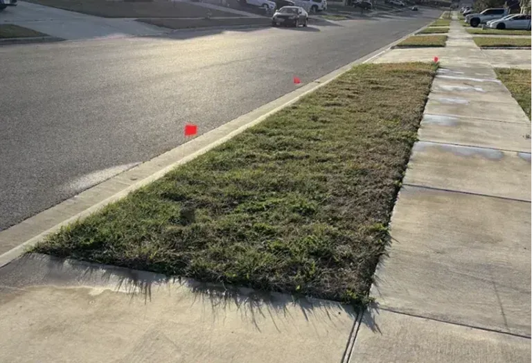 Grassy strip between sidewalk and street.
