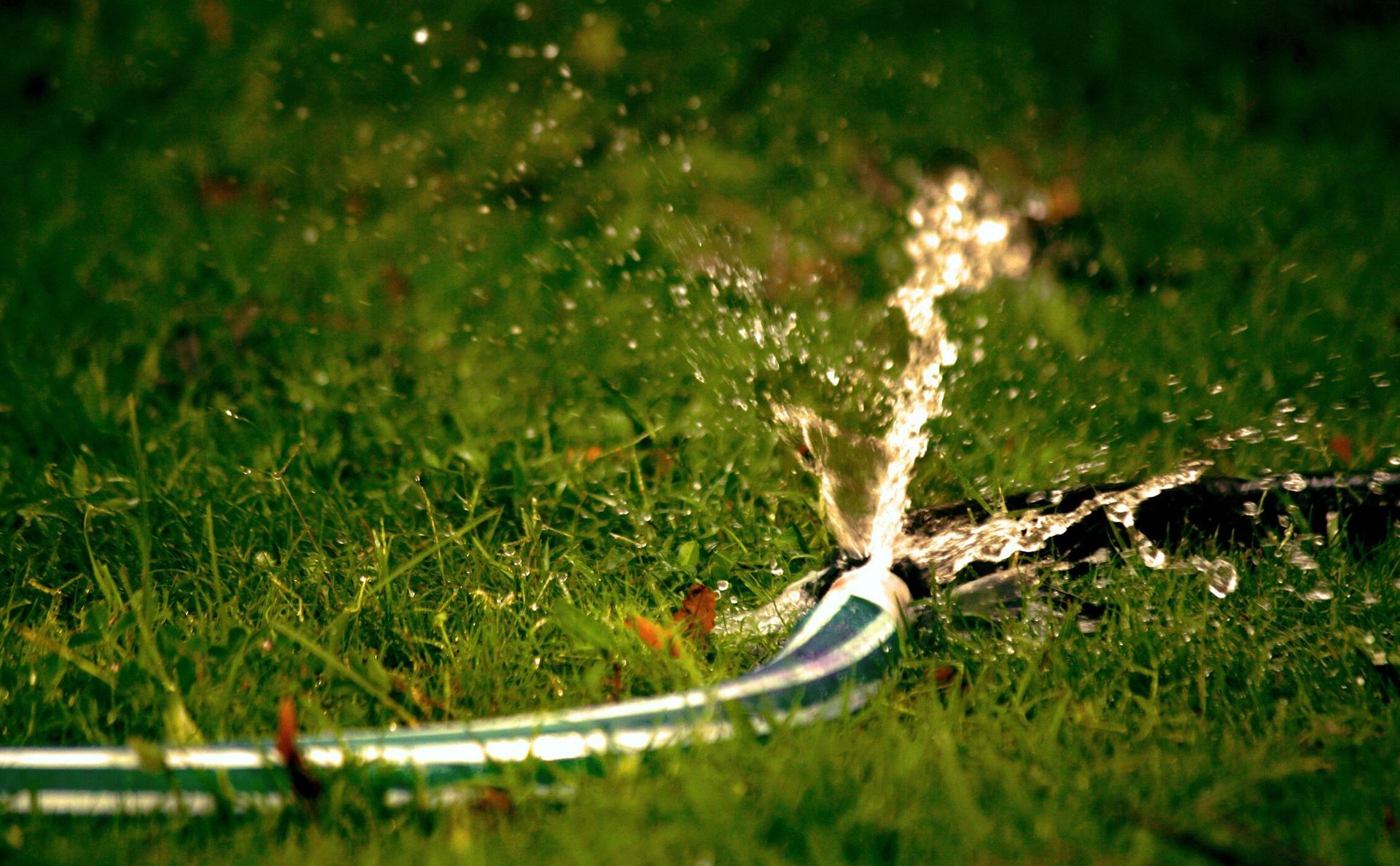 Professional Irrigation Line Repair in Austin