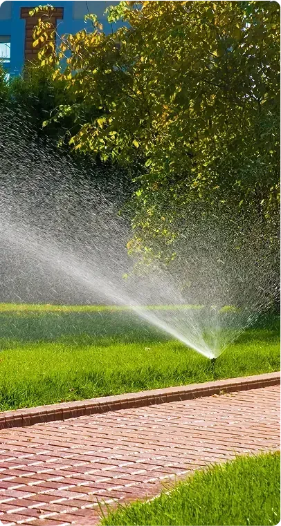 Sprinkler sprays water on green grass next to a brick path. Sprinkler sprays water on green grass next to a brick path.