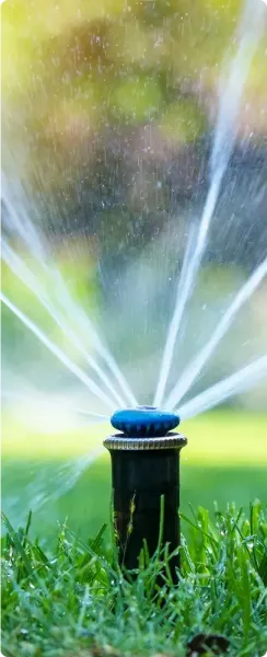 Sprinklers spraying water on a Texas lawn.