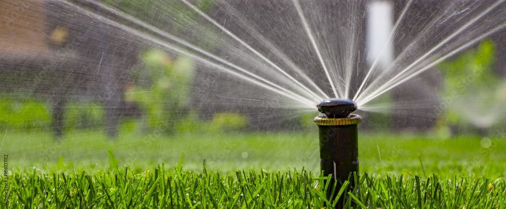 A sprinkler spraying water on a green lawn.