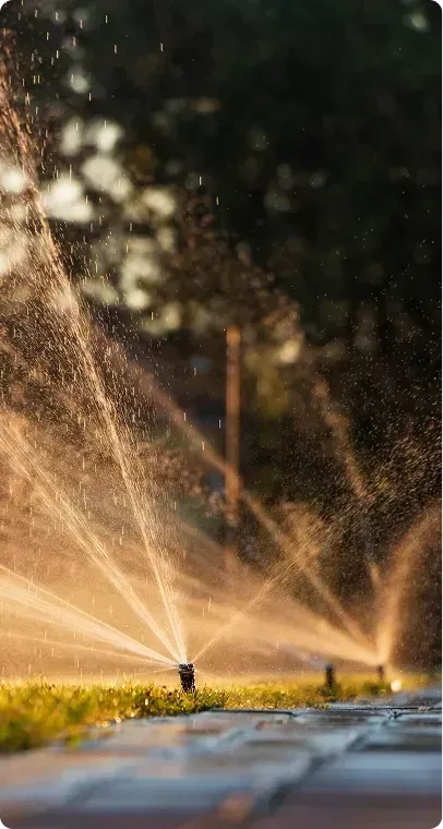 Sprinklers spraying water on a Texas lawn.