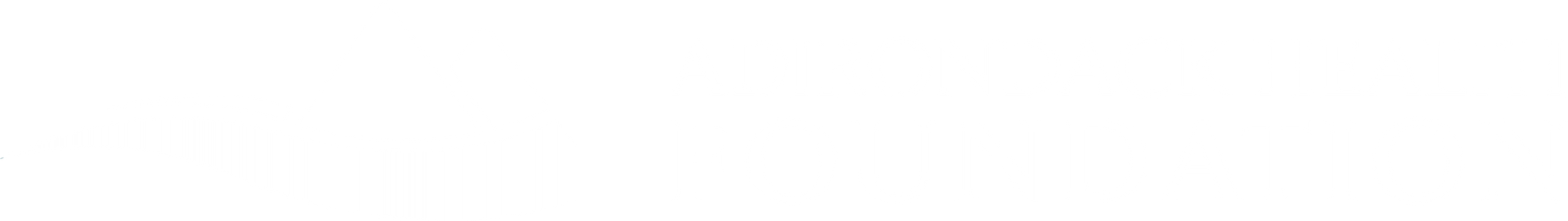 Logo of Adirondack Health Foundation with green mountain shapes and blue waves.