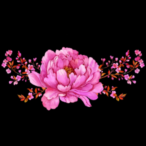 Pink peony with delicate pink and copper-colored sprigs on a black background.