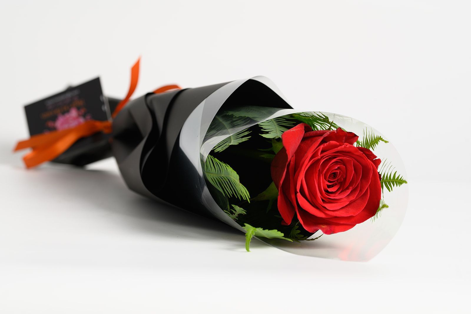 Red rose in black and white wrap, tied with orange ribbon, on white surface.