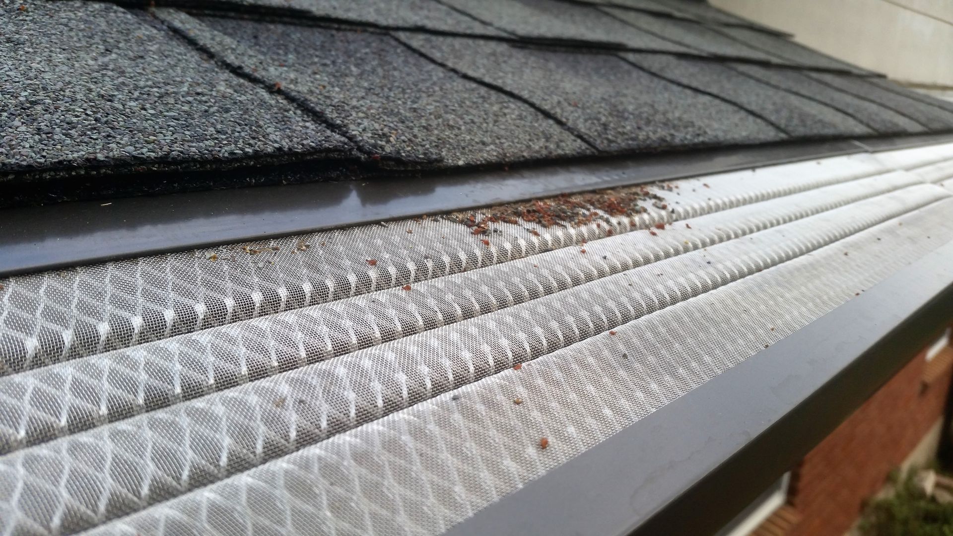 Gutter covered with mesh screen under a gray shingled roof, some debris visible.