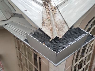 Gutter with mesh guard, filled with leaves and debris on a building corner with windows.
