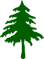 green winter tree icon