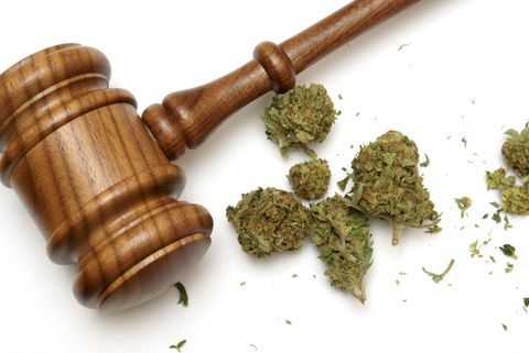 An Image of a wooden law gavel and several pieces of marijuana