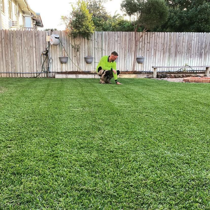 Green Grass - Gardener in Heatley, QLD