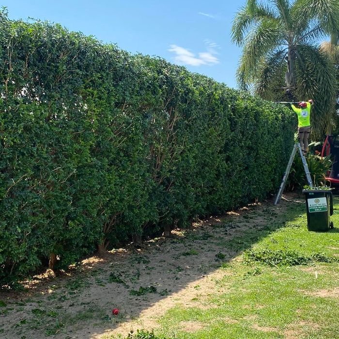 Grass Trimming - Gardener in Heatley, QLD