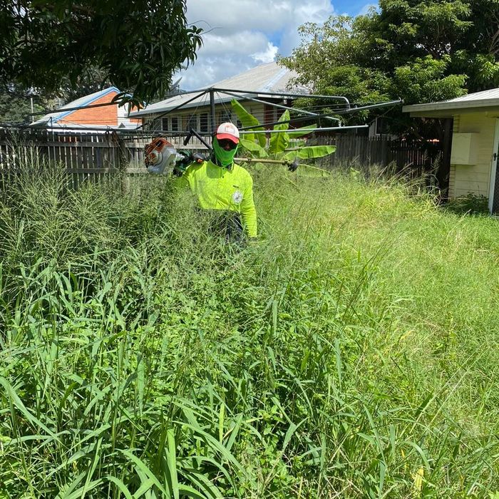 Gardener on Duty - Gardener in Heatley, QLD