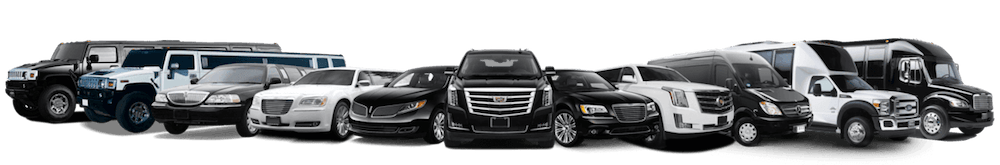 Luxury transportation web design transportation service website design
