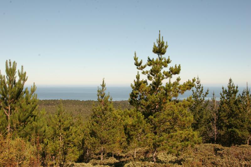 Ocean Pines