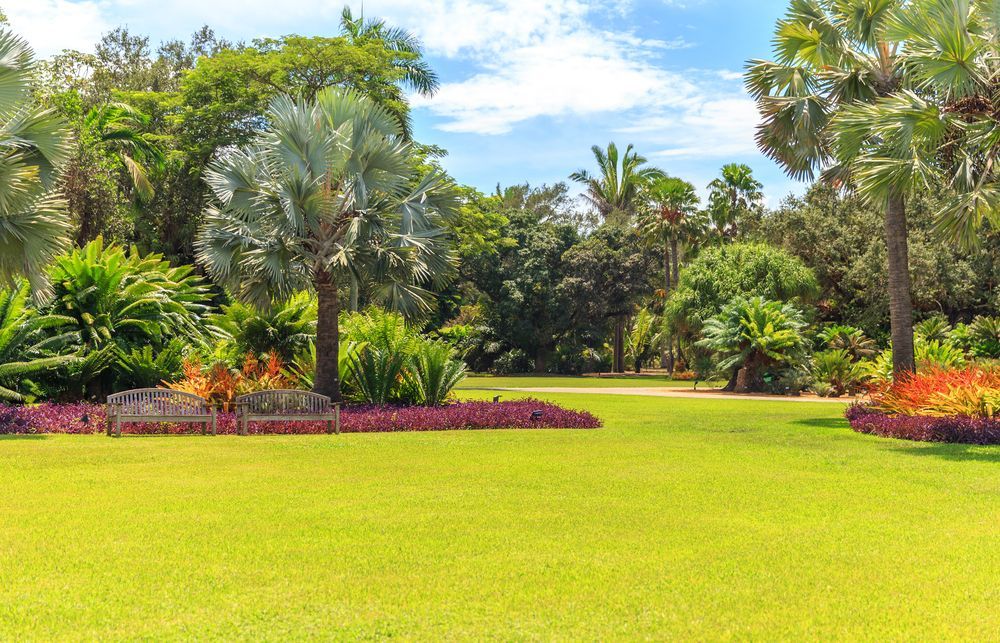 A Lush Green Park On A Sunny Day — Affordable Underpinning Solutions In Albion Park, NSW