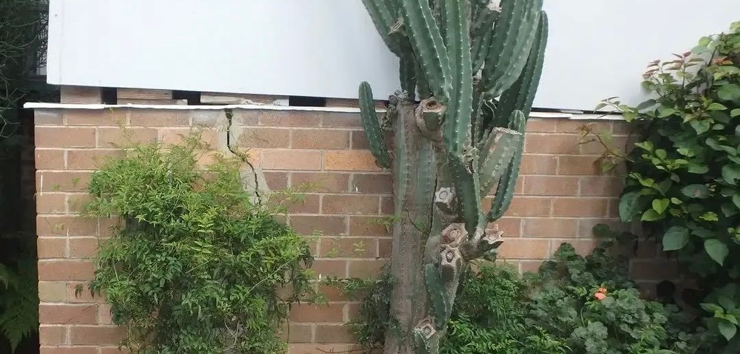 An uneven brick wall with a crack — Affordable Underpinning Solutions In Nowra, NSW