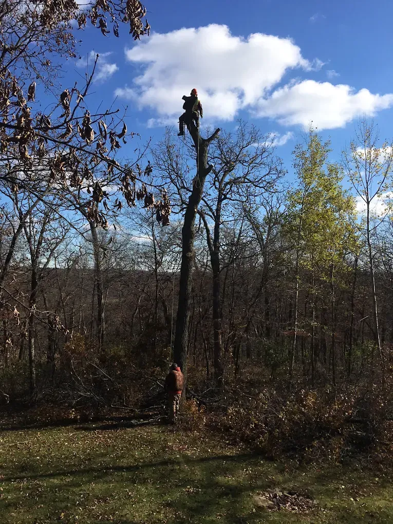 Firefighter cutting a tree trunk with a chainsaw; truck with a crane in the background.