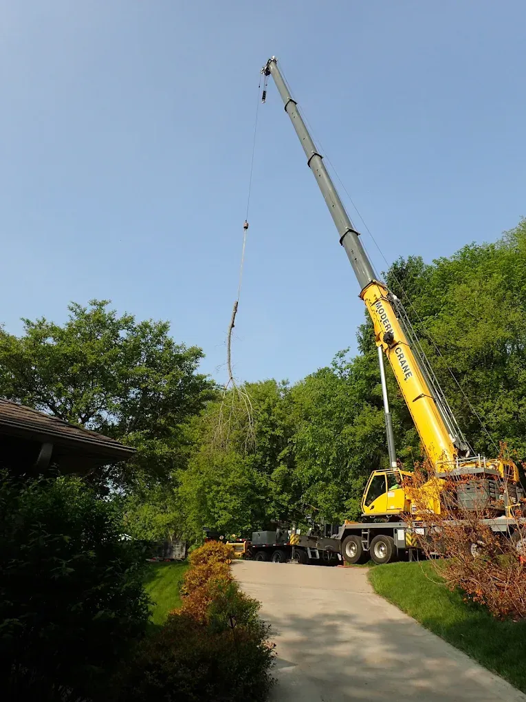 Firefighters using a chainsaw to cut fallen tree trunks in a grassy area.