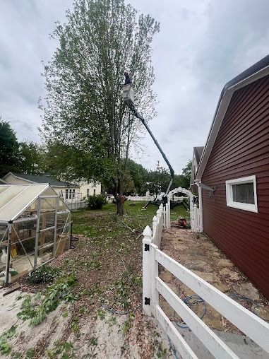 Person in lift trimming a tall tree next to a red building and white fence on a cloudy day.