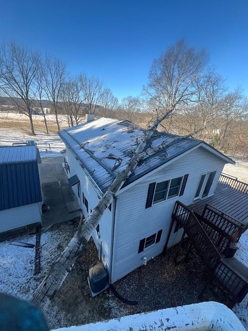 Tree fallen on the roof of a two-story white house with snow covering the roof.
