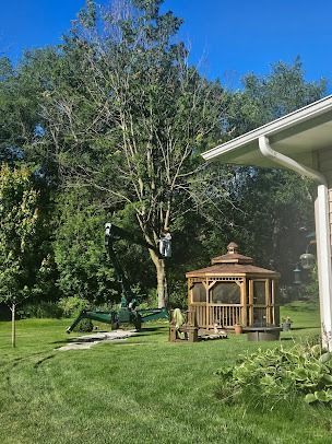 A tree being trimmed by a person in a bucket lift, next to a gazebo and house, on a green lawn.