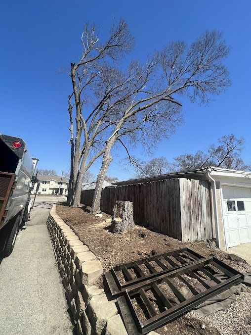 Tree partially cut down near a wooden fence and garage, on a sunny day. Metal frames in foreground.