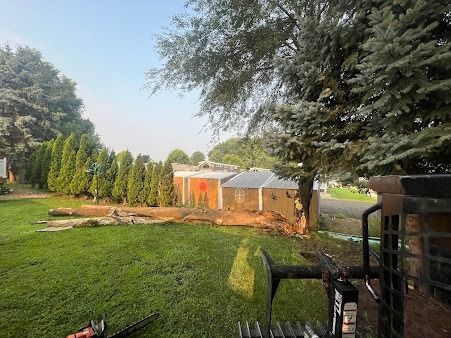 Backyard with damaged building, green grass, trees, and construction equipment.