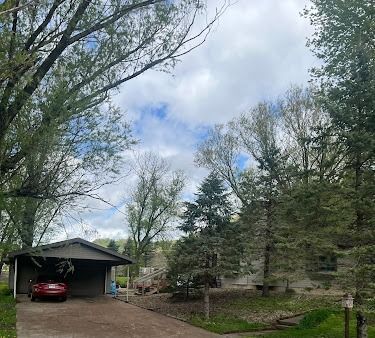 A driveway leads to a one-story home with a carport. Red car parked in the carport. Trees surround the house, cloudy sky above.