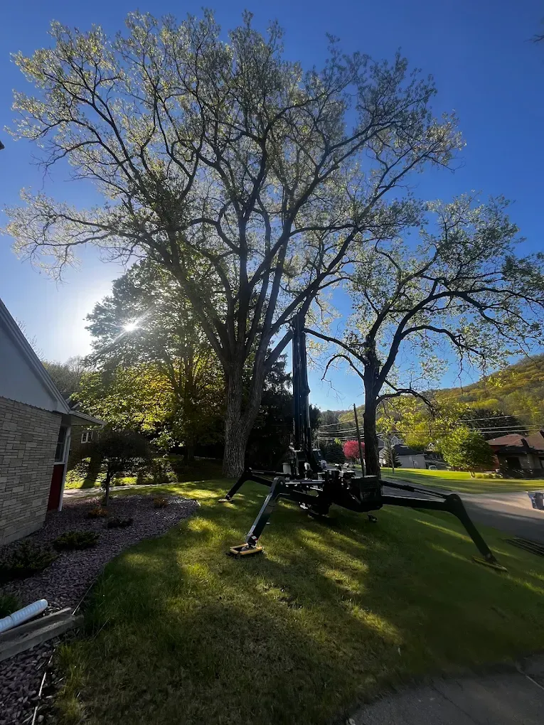 Person using a chainsaw to cut a fallen tree trunk in an outdoor setting.