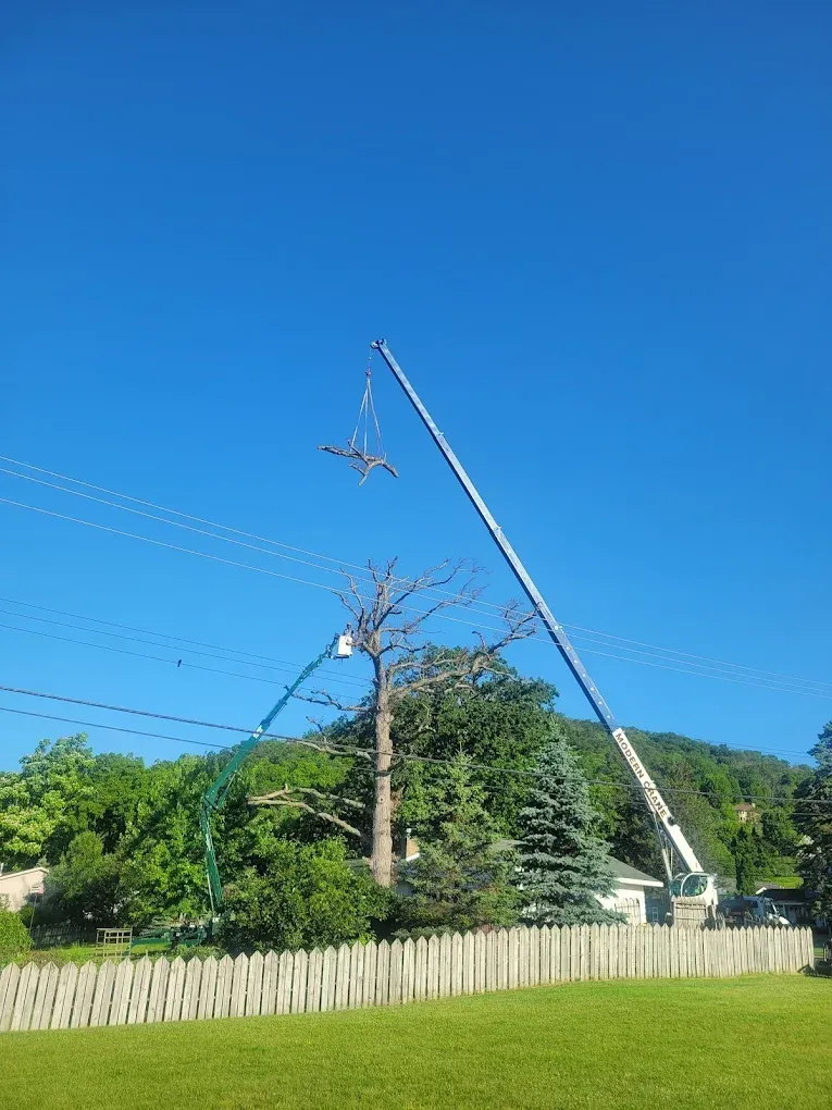 Person using a chainsaw to cut a log on grassy ground. Sawdust visible.
