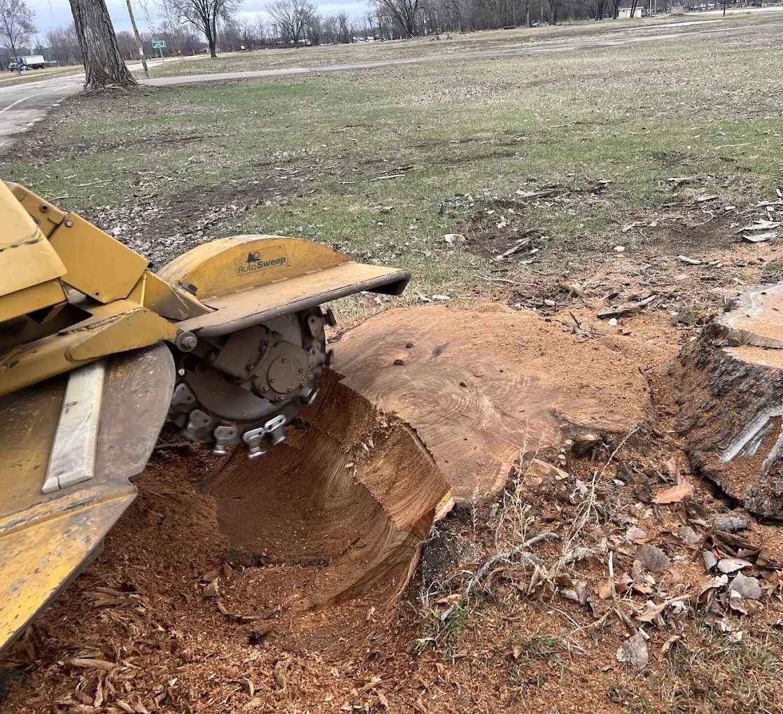 Firefighter cutting logs with a chainsaw on a grassy area; other firefighters nearby.