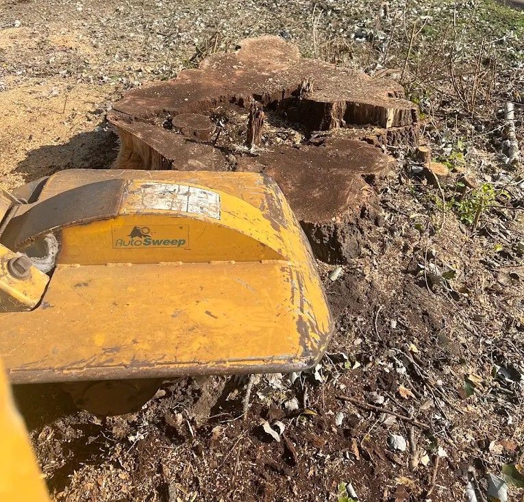 Person cutting a tree trunk with a chainsaw.