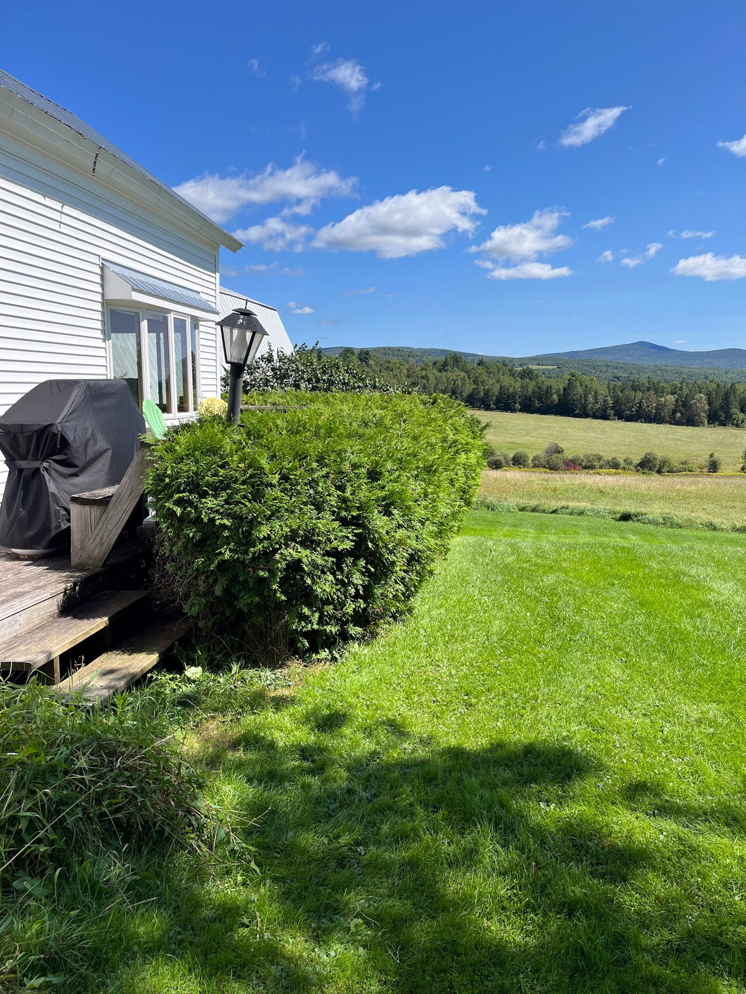 Lawn mowing services by NEK Tree Workz