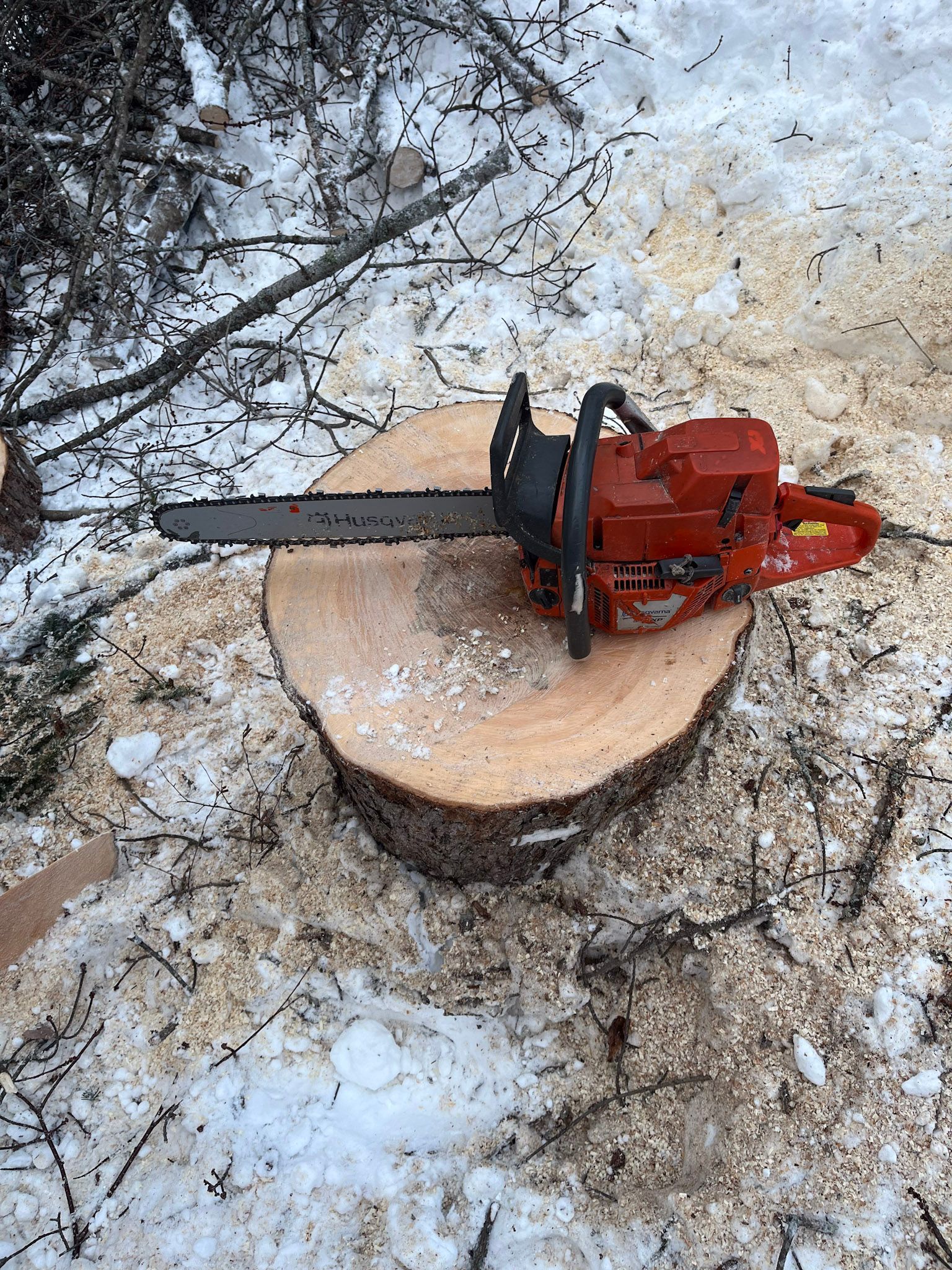 NEK Tree Workz chain saw sitting on a tree stump