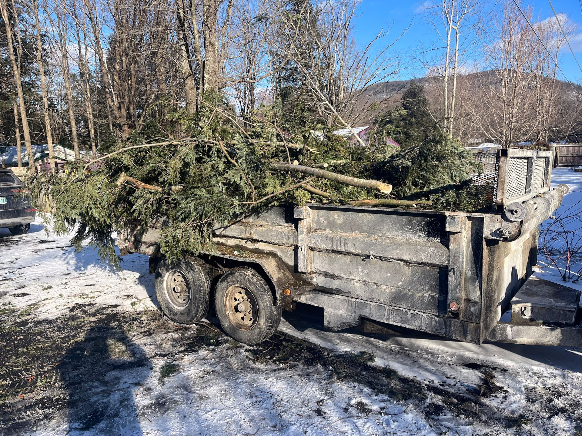 NEK Tree Workz trailer loaded with tree branches that were removed
