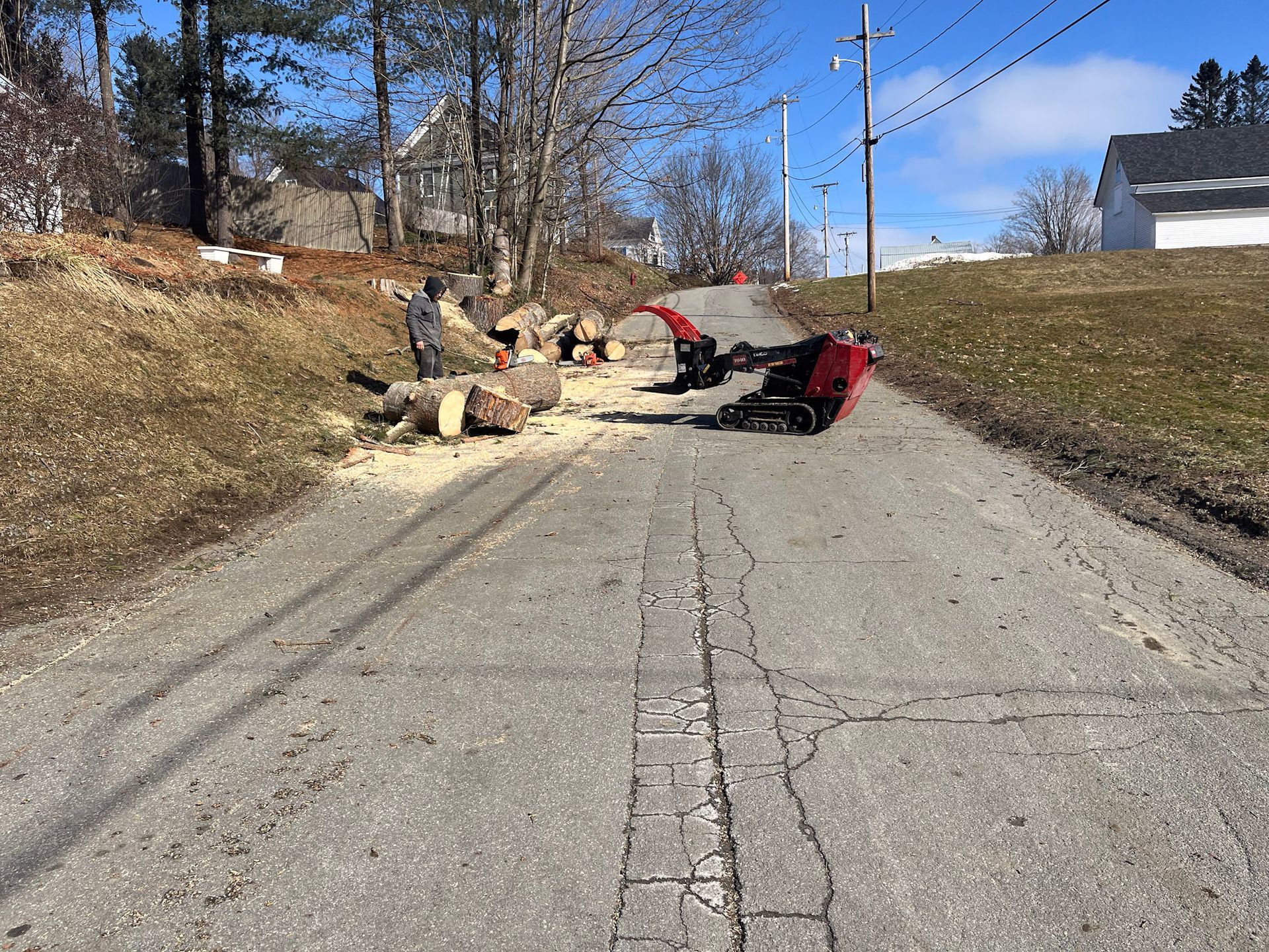NEK Tree Workz cleaning up after safely removing a tree