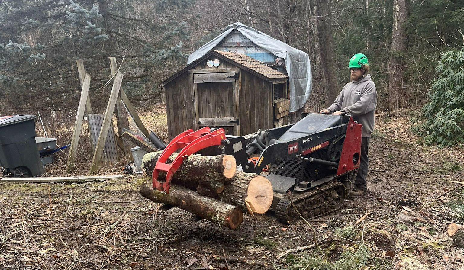 NEK Tree Workz tree removal 