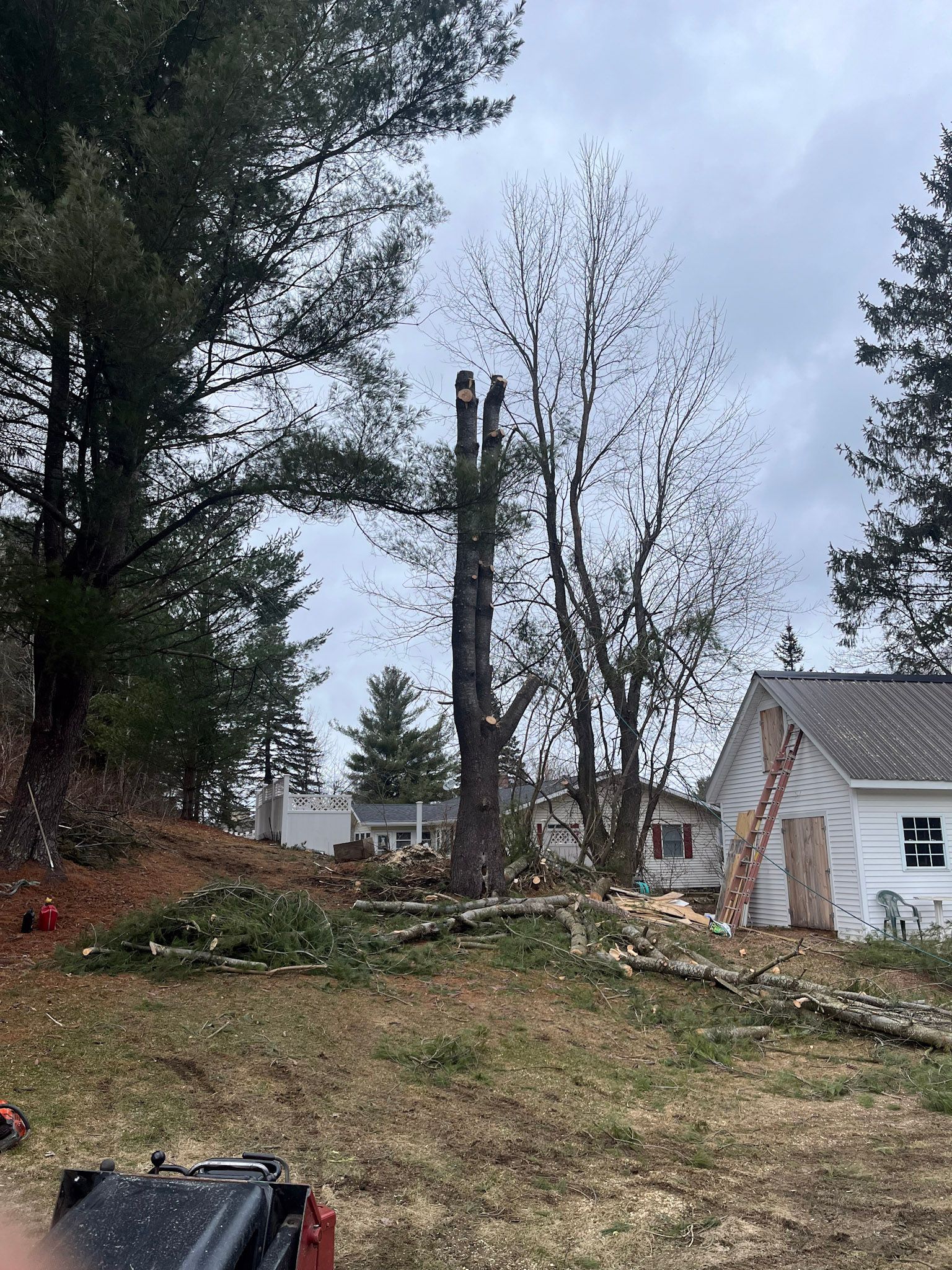 NEK Tree Workz removing a tree that is too close to a residents