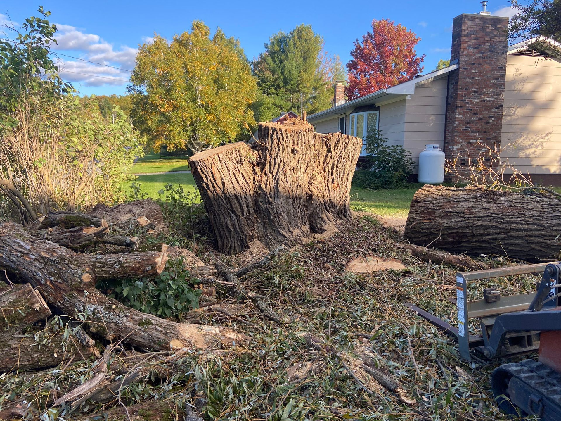 NEK Tree Workz removing a tree that was too close to a residents