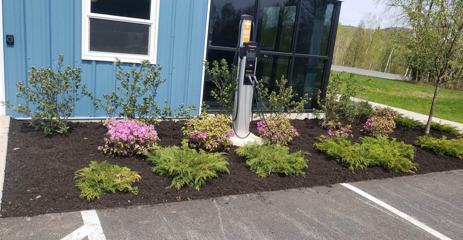 A commercial building with a freshly landscaped flower bed completed by NEK Tree Workz