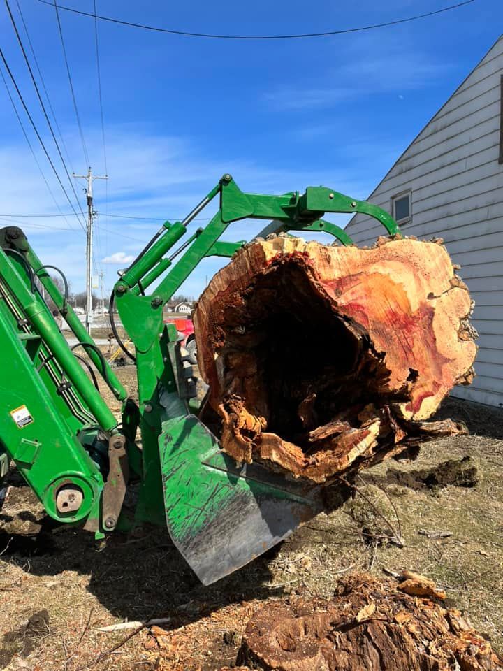 The inside of a rotting tree being moved with a tractor bucket and grapple