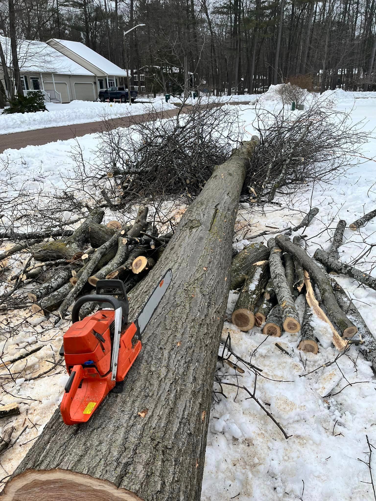 NEK Tree Workz during a winter storm clean up of a down tree