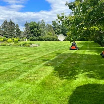 NEK Tree Workz during lawn care of a orange lawn tractor mowing the grass