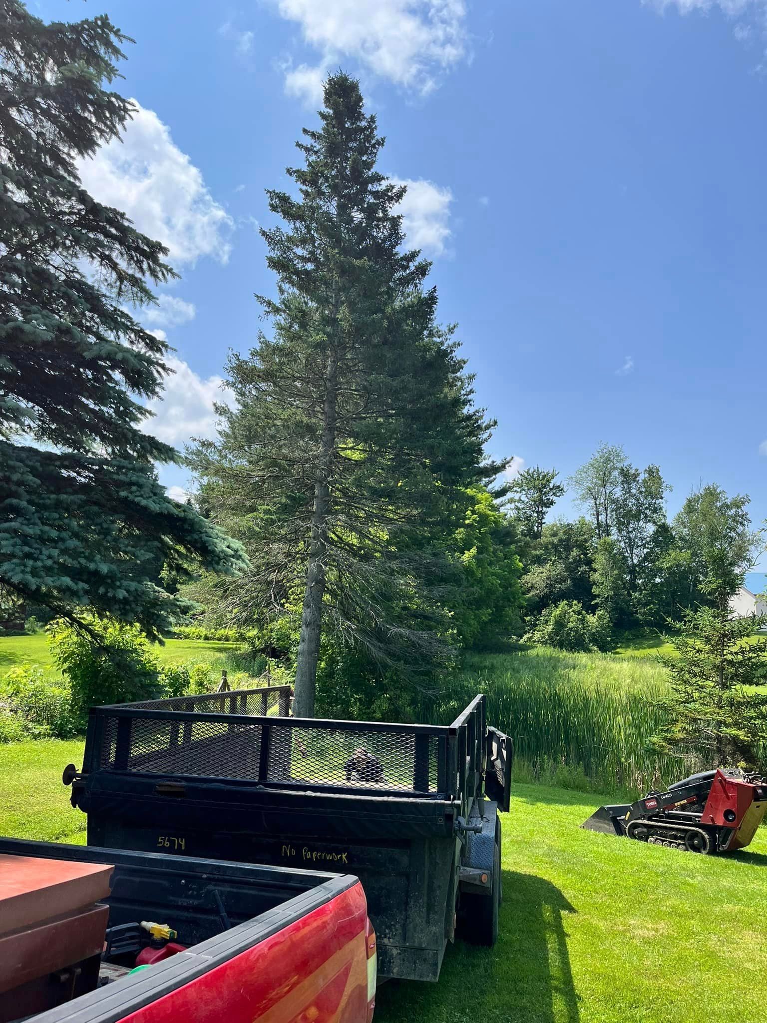 NEK Tree Workz setting up equipment to safely remove a tree