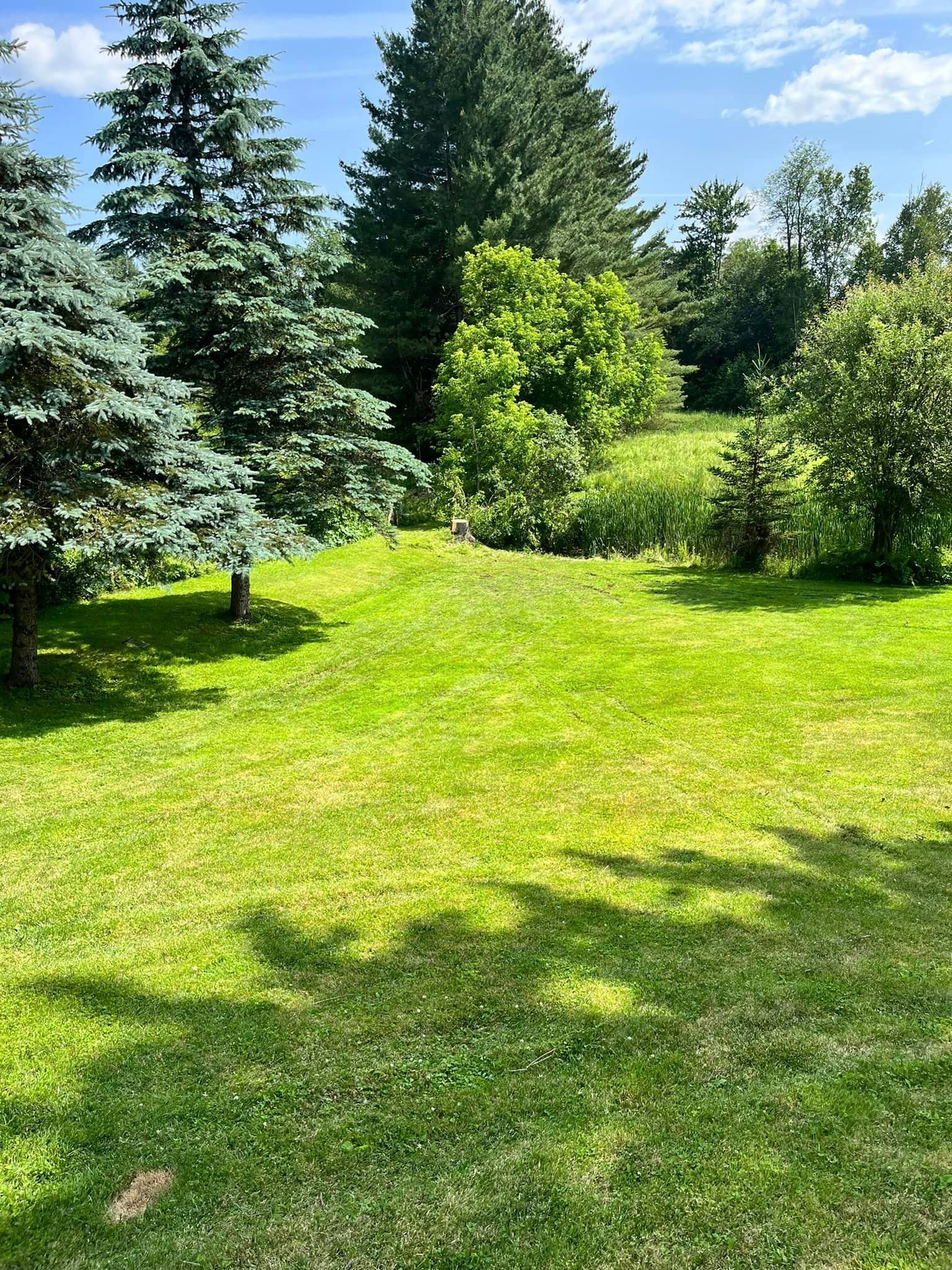 Trees that have been trimmed to perfection and a lawn that has been landscaped