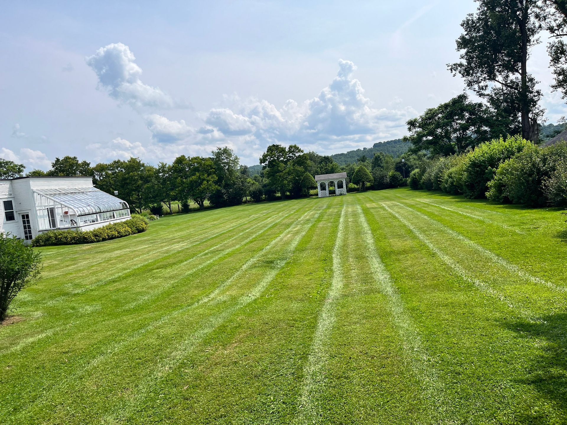 NEK Tree Workz caring for a residential lawn