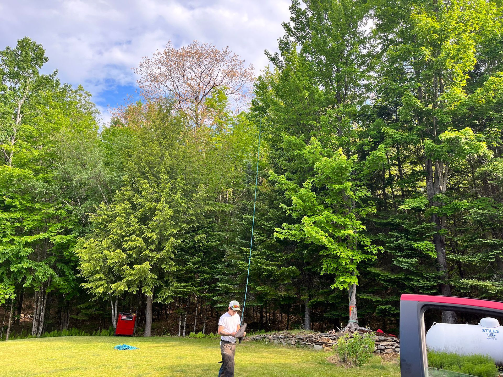 NEK Tree Workz preparing a tree for trimming